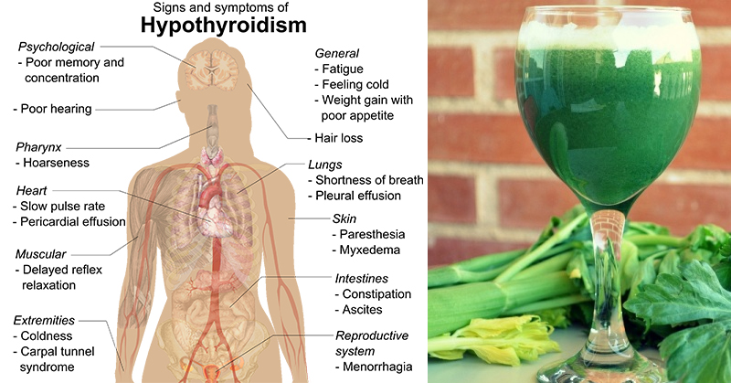 Juicing Cabbage For Weight Loss