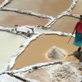 Healthy Alternative Salts to Your Regular Table Salt—Naturally Extracted Salts