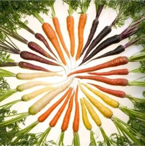 Phytochemicals give the color to carrots