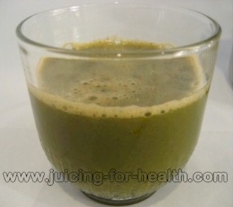 Concentrated juice extracted using Green Power Kempo KPE-1304