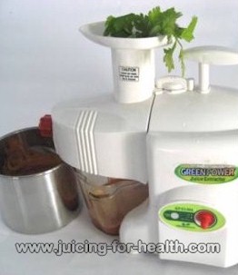 Juicing with Green Power Kempo KPE-1304