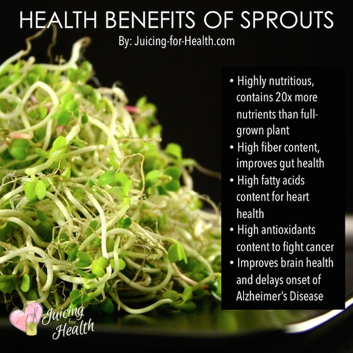 bean sprout nutrition