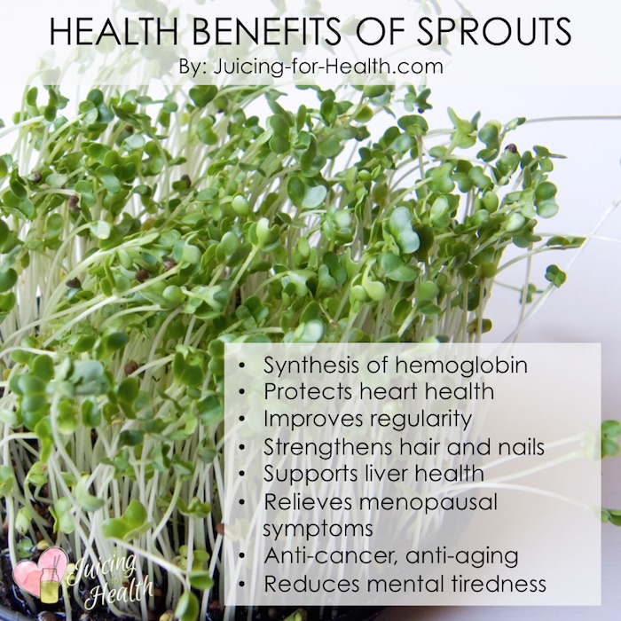 health benefits of alfalfa sprouts