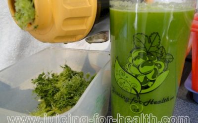 Blood Cleansing and Kidney Detox Juice