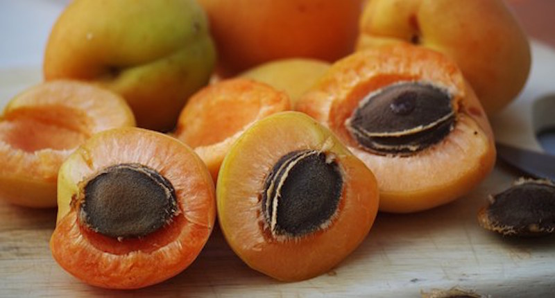 health benefits of apricots