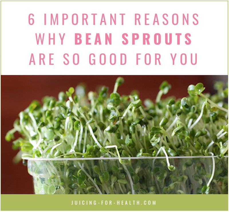 bean sprout nutrition