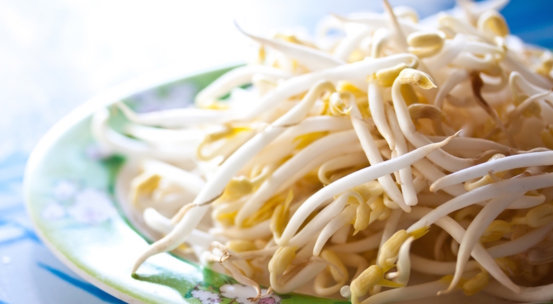 mung bean sprouts