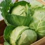 How To Use Cabbage For Healing Your Digestive System And Immunity