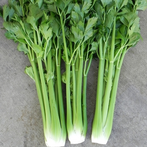 Celery Reduces Hypertension, Cleanses Kidneys, Relieves Arthritis And Gout