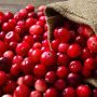 Health Benefits of Cranberries
