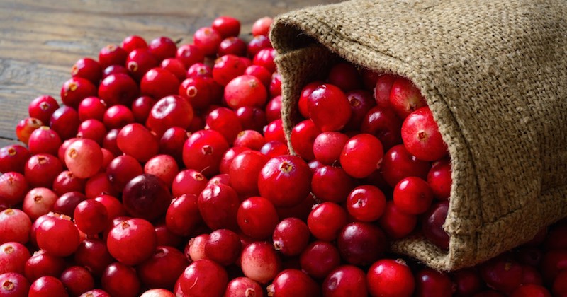 health benefits of cranberries