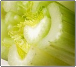 celery