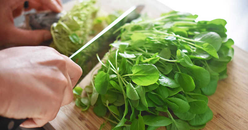 health benefits of watercress