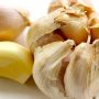 Antimicrobial Health Benefits of Garlic Wipe Out Disease-Causing Microbes In The Body