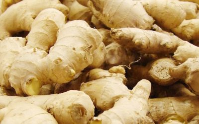 ginger roots
