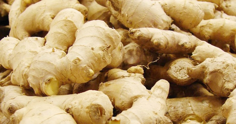 Health Benefits Of Ginger Root Facts Nutritional Info Side Effects