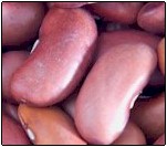 kidney beans