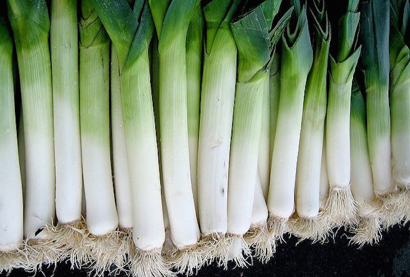 health benefits of leek