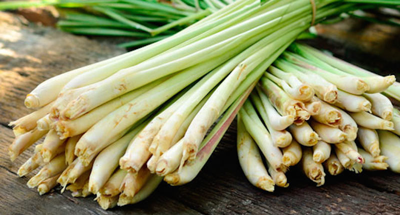 health benefits of lemongrass