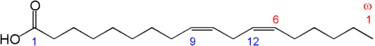 Omega 6 structure - made from essential fatty acids