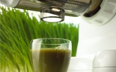 ONLY ONE Powerful Shot Of Wheatgrass Juice A Day To Kill Candida Infection, Alkalize Your Body, STOP Bad Breath
