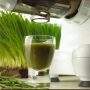 ONLY ONE Powerful Shot Of Wheatgrass Juice A Day To Kill Candida Infection, Alkalize Your Body, STOP Bad Breath