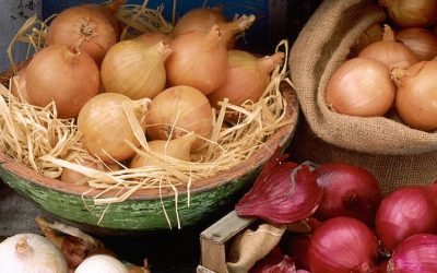 Harness The Ancient Healing Power Of Onions With Simple Dietary Changes
