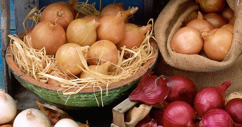 health benefits of onion