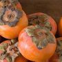 The Therapeutic Benefits of Persimmon Many People Don’t Know About