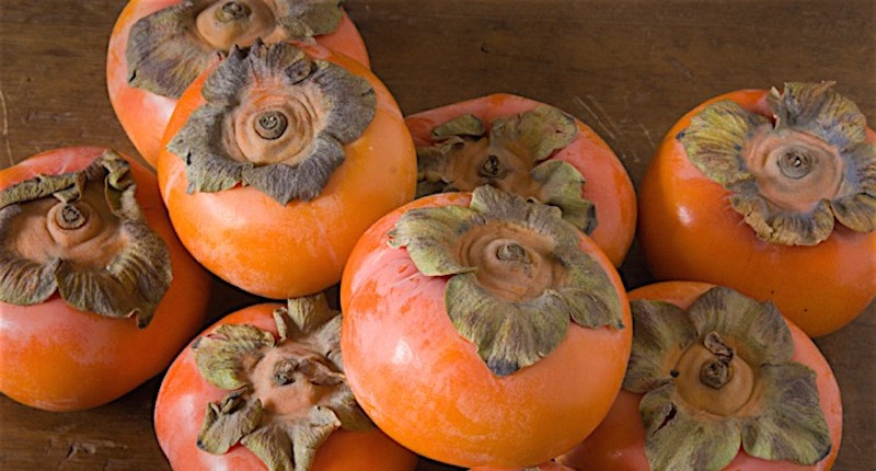 health benefits of persimmon