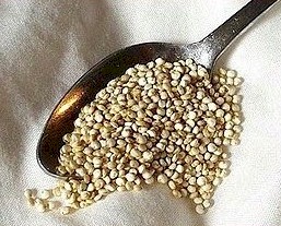 Quinoa is a good source of protein