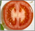 sliced tomato