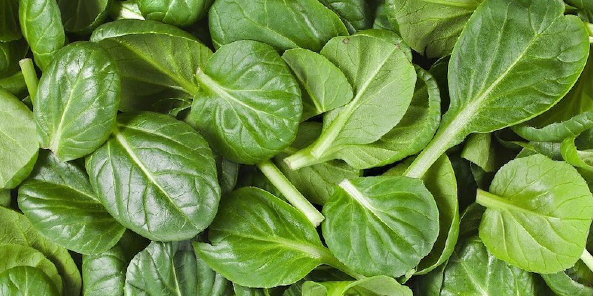 Important Reasons You Should Include Spinach In Your Diet