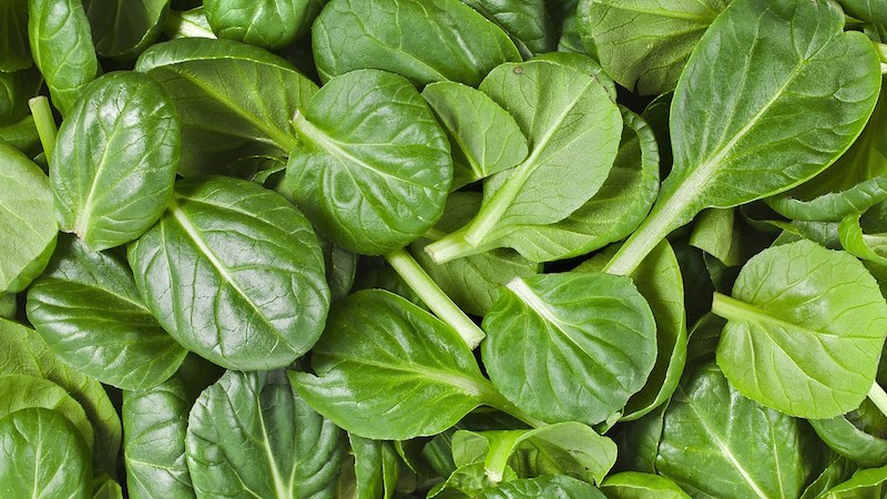 health benefits of spinach