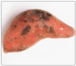 sweet potato