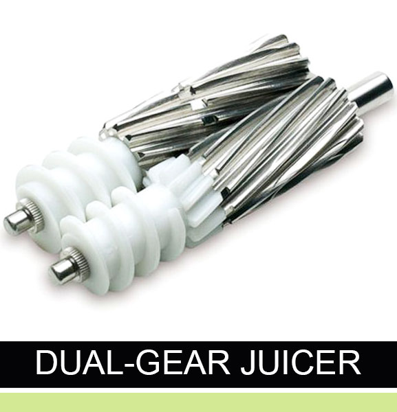 dual gear juicer