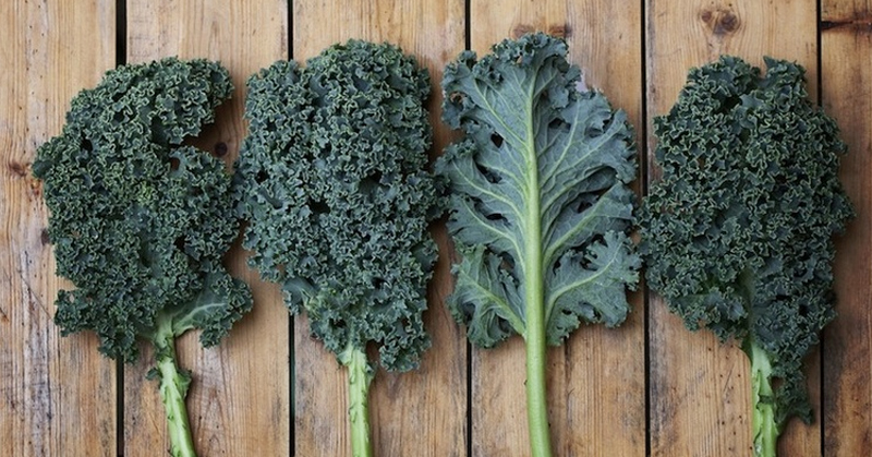 health benefits of kale