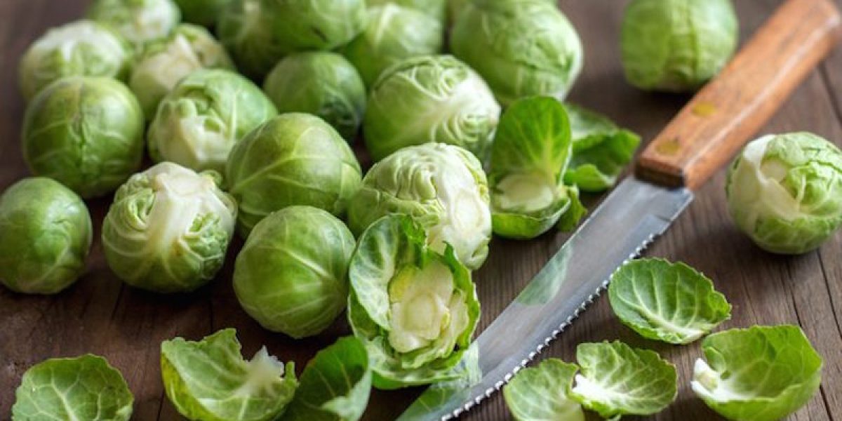 Health Benefits of Brussels Sprouts