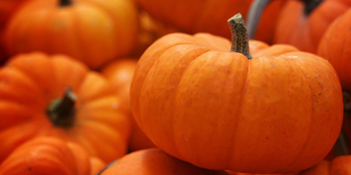 Health Benefits of Pumpkin