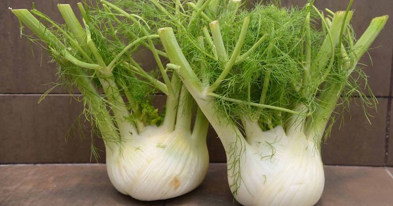 health benefits of fennel