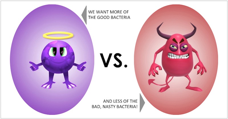 intestinal flora imbalance