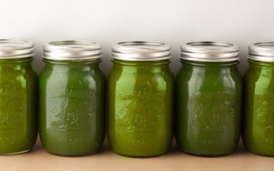 30-Day Juice Cleanse With Excel