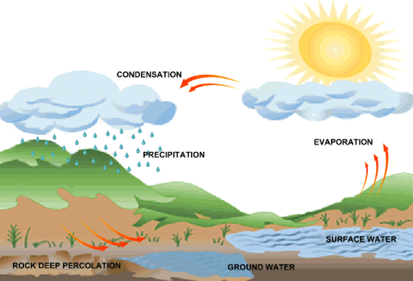 how rain is formed