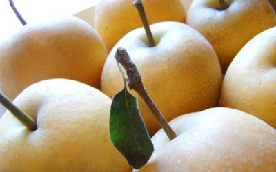 Health Benefits of Pear: Why You Need Pears in Your Next Juice