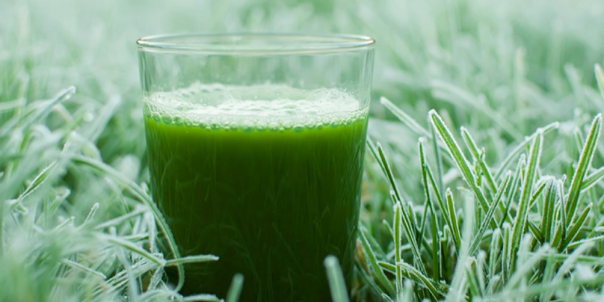 5 Ways To Get More Chlorophyll In Your Juices