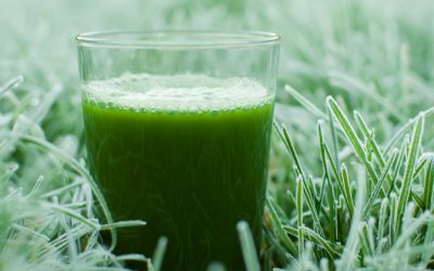 5 Ways To Get More Chlorophyll In Your Juices