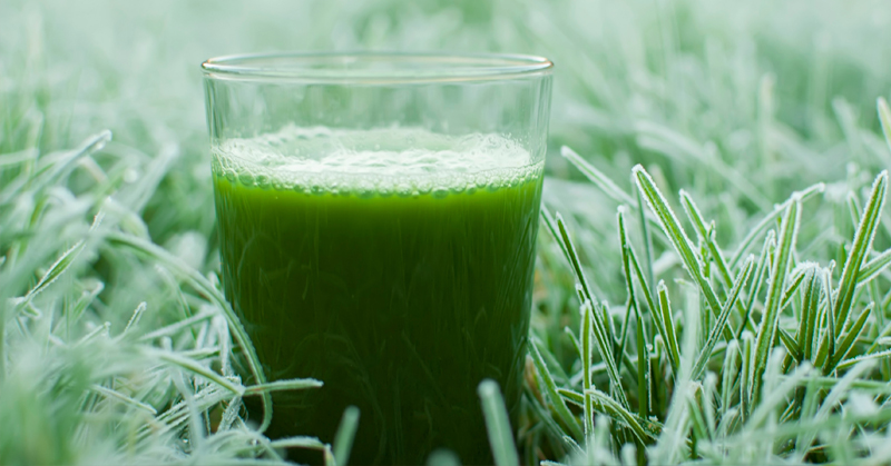 get more chlorophyll in your diet