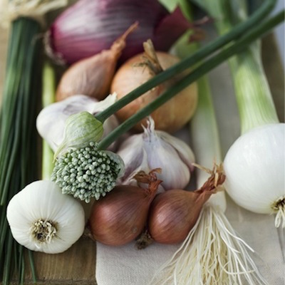 garlic onion leeks
