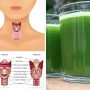 How To Spot The Symptoms Of Hyperthyroidism And The Best Green Juice To Prevent It (Recipe Included)