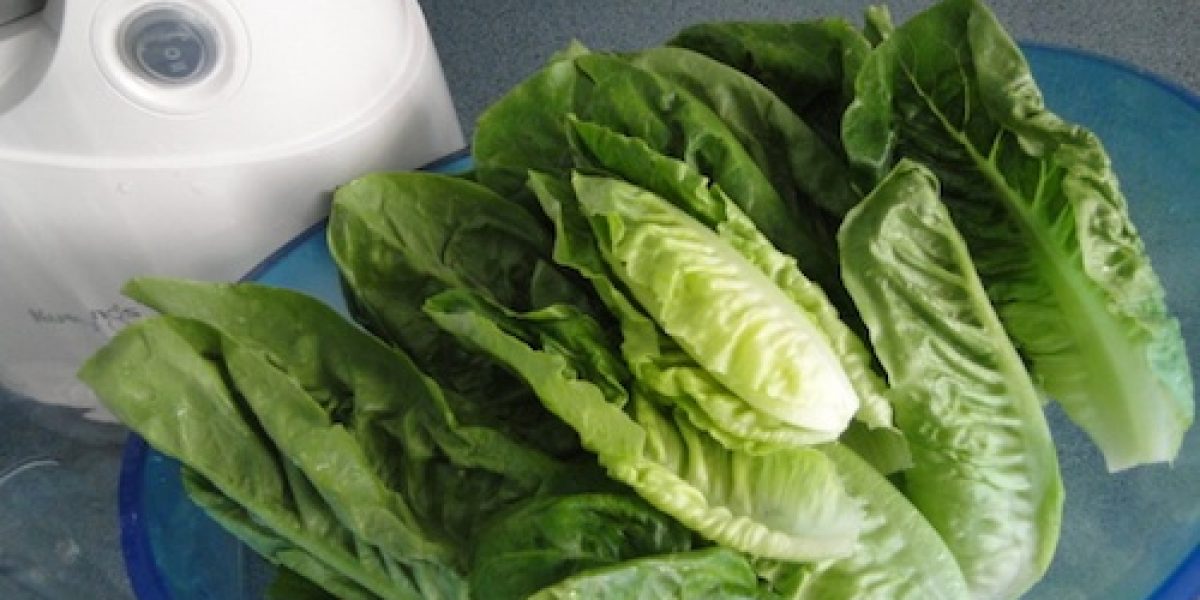 Juicing Romaine Lettuce